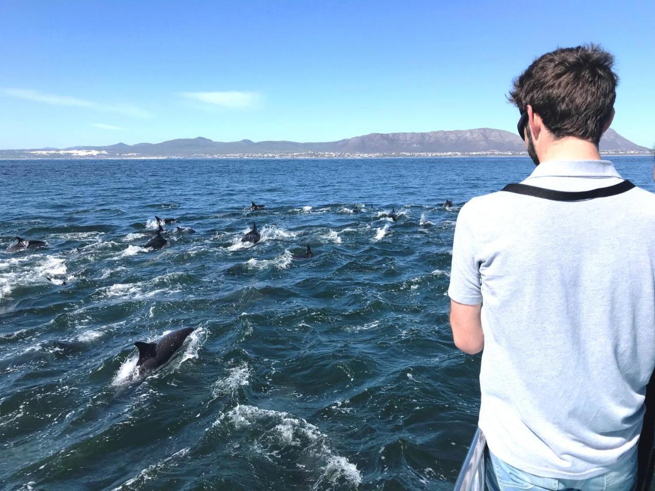 Whaletale Daire De Kelders Dış mekan fotoğraf